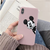 iphone cases (6,6s,7,8,X,XR,XS)